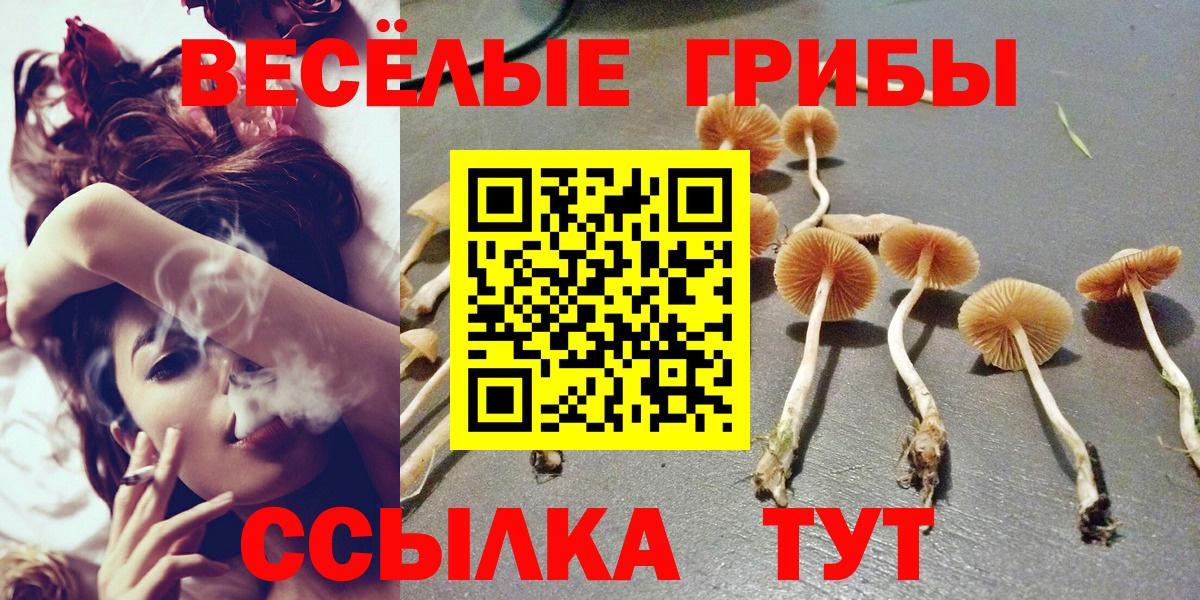 Псилоцибиновые грибы GOLDEN TEACHER  Галлюциногенные грибы ЛСД  Улан-Удэ  Вход с VPN 